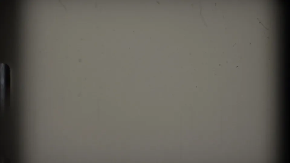 Soft 8mm frame showing a pale field, dark film edge, vertical mark, dust, and scratches without visible animals.