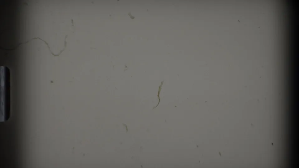 End frame from the 8mm clip showing a pale surface, dark side edge, dust, and curved scratches, with no clear subject visible.