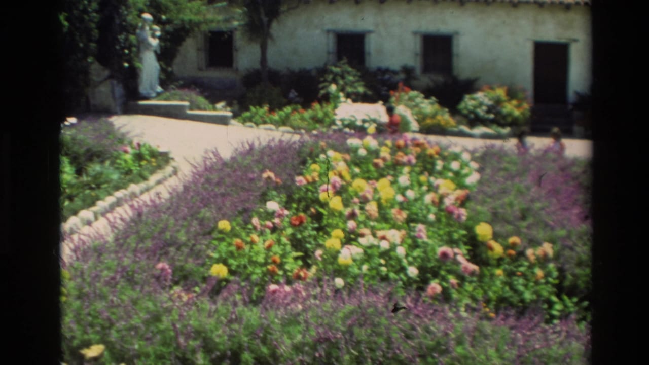 Sunlit courtyard garden with flower beds, purple plants, stucco building, walkway, and distant statue.