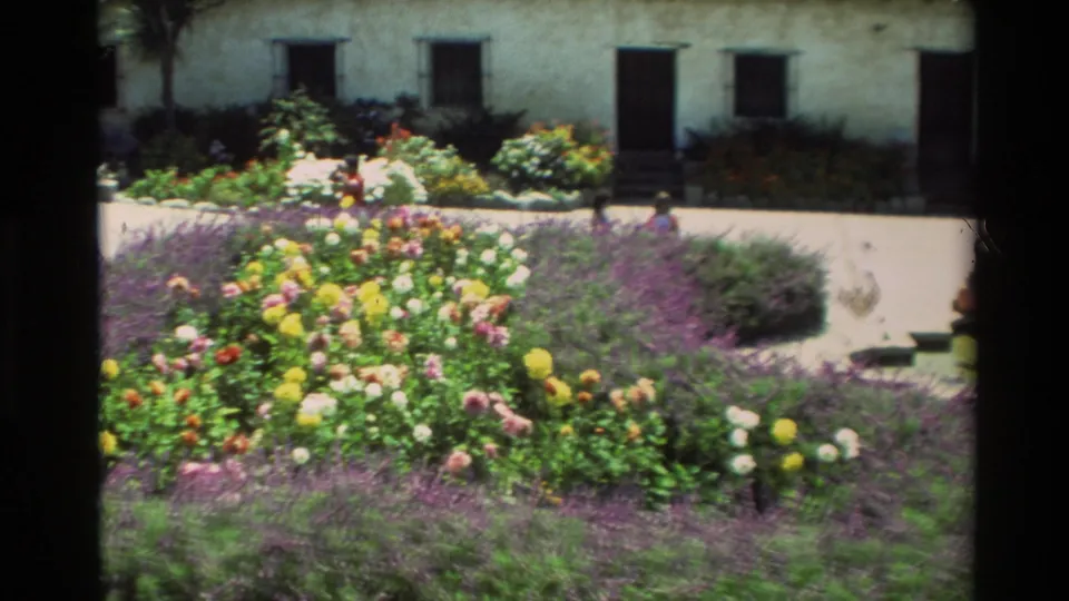 Carmel, California 1982 home-movie view across dense flowers toward a stucco building and walkway with small distant visitors visible.