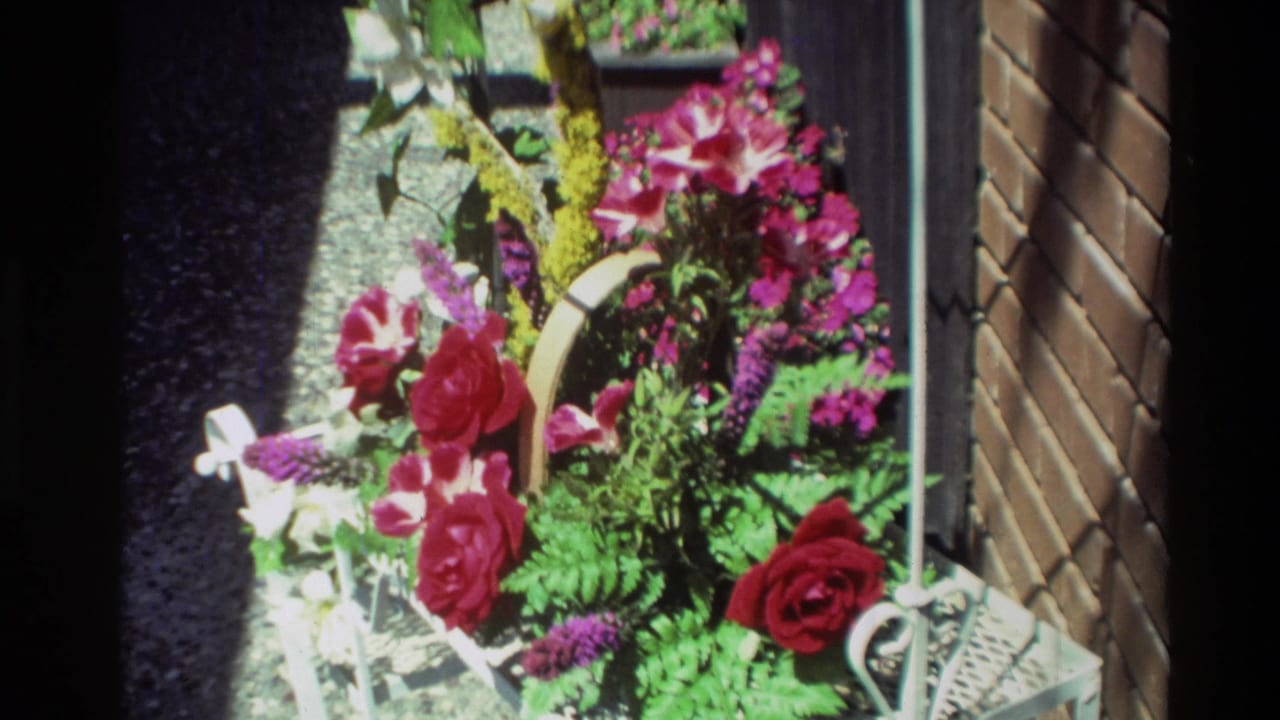1982 Carmel home-movie frame showing a bright garden arrangement with red roses, pink flowers, greenery, and white metal basket details.