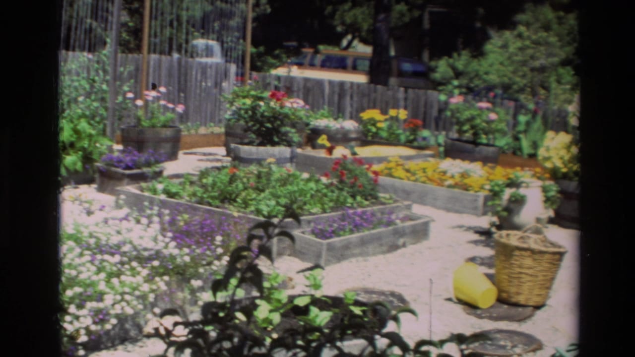 Garden planters with flowers, a basket, and a yellow watering can.