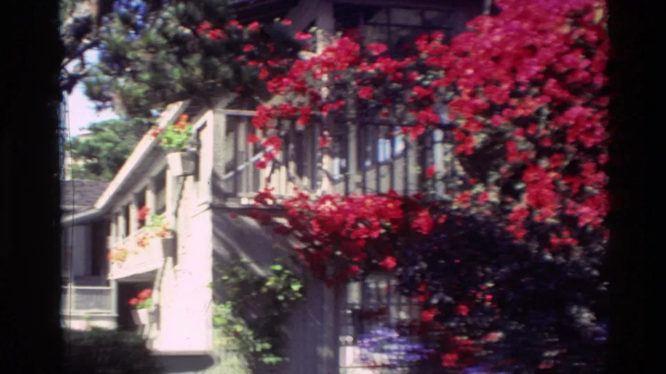 Carmel apartment corner in 1982 framed by bright red flowering shrubs, balcony railings, and surrounding greenery.