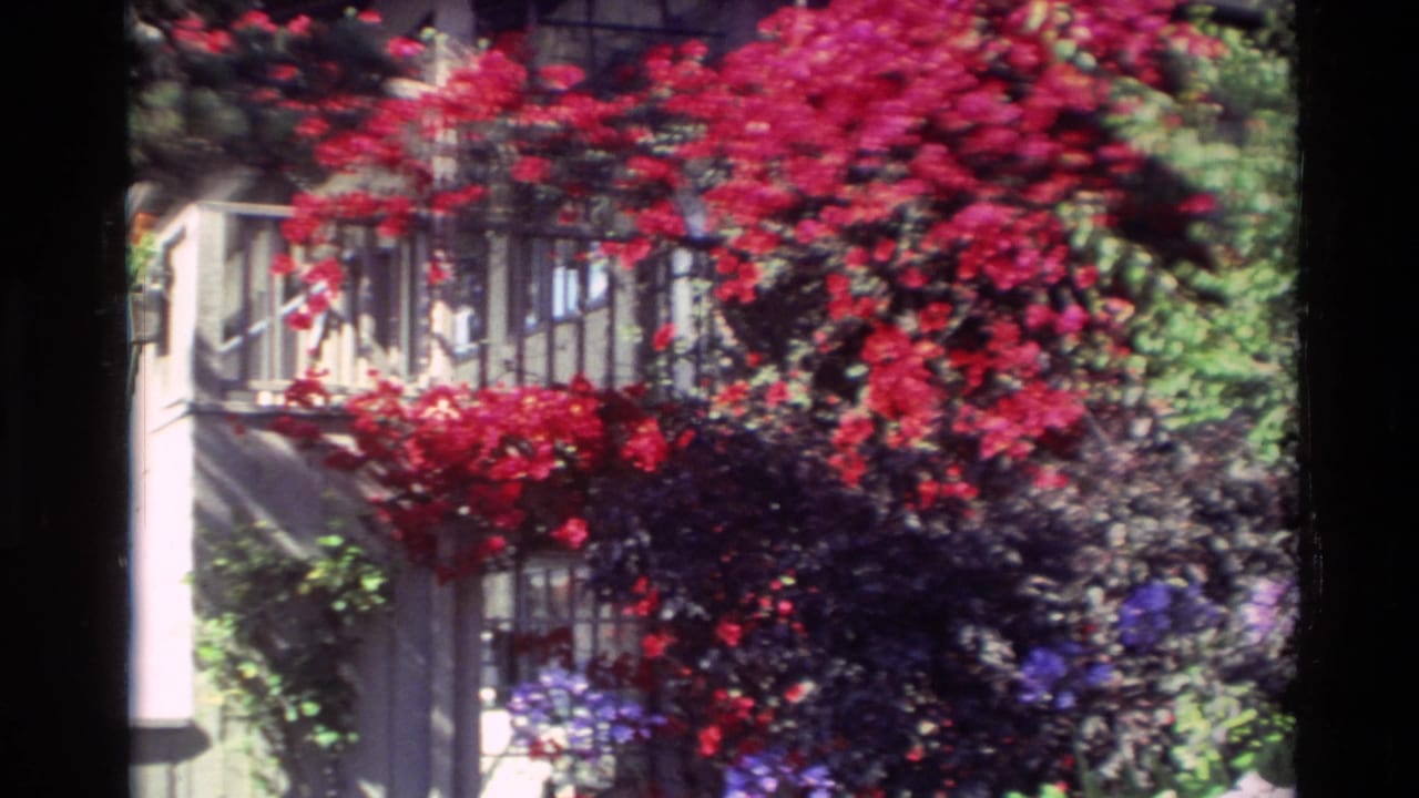 1982 Carmel home-movie frame showing red bougainvillea, dark shrubs, and part of a light exterior building wall.