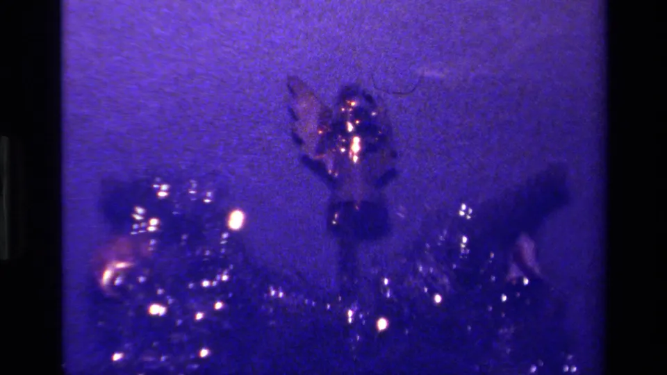 1979 California 8mm close-up showing metallic holiday tinsel, a small ornament, and blurred Christmas tree lights.