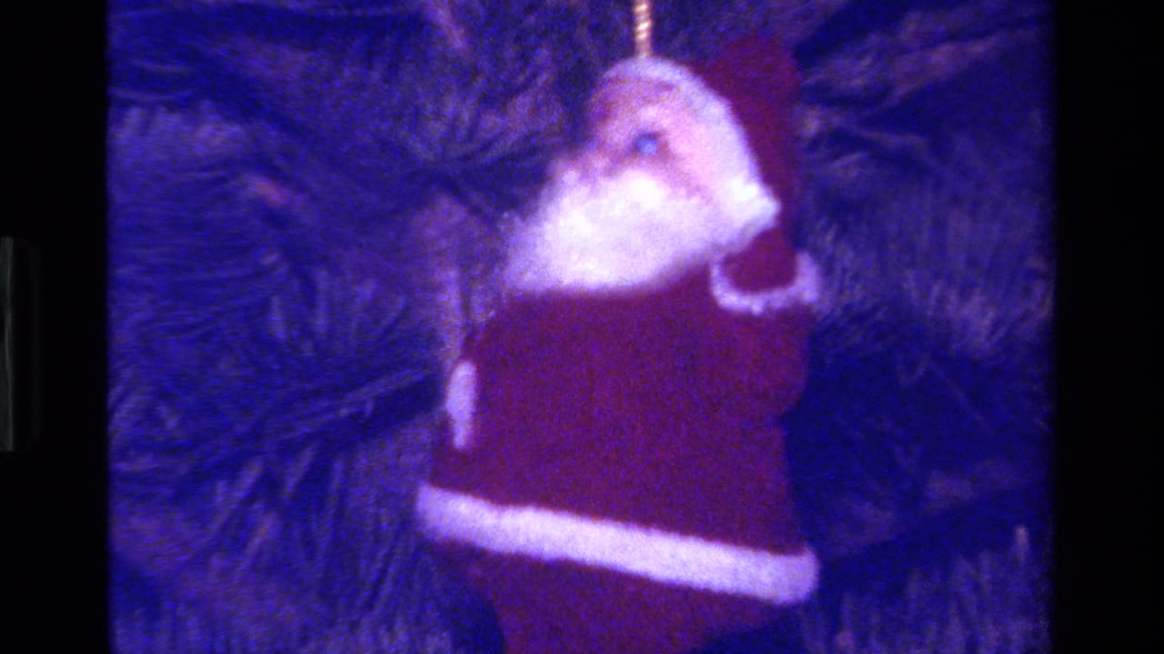 Santa Claus ornament hanging among dark pine needles.