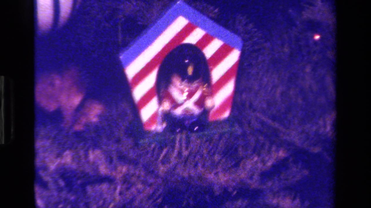 Red-and-white striped ornament among dark Christmas tree needles.