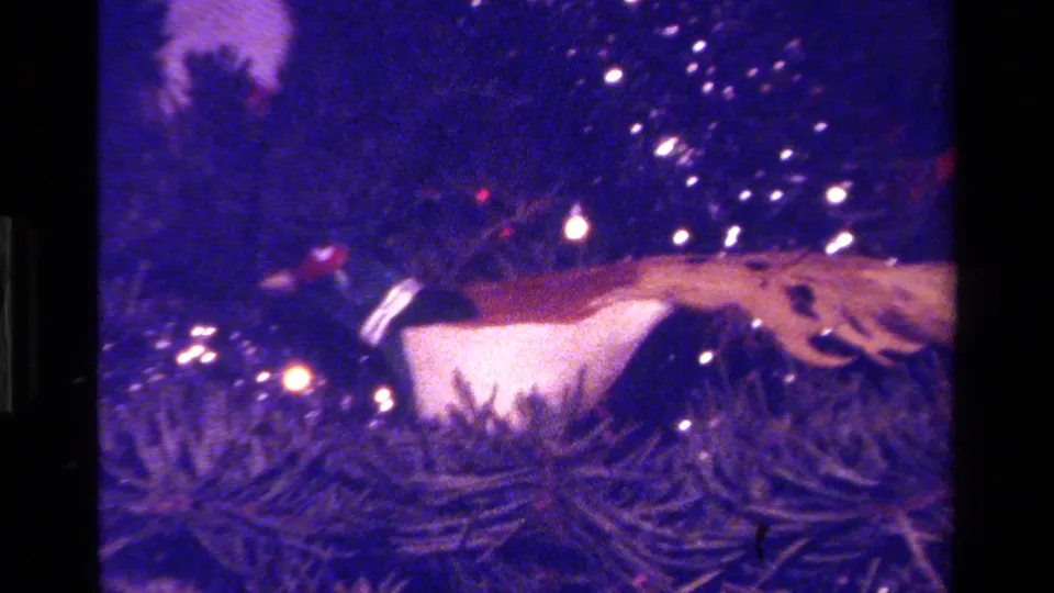 1979 California home-movie frame showing a bird ornament set low among pine needles and glowing tree lights.