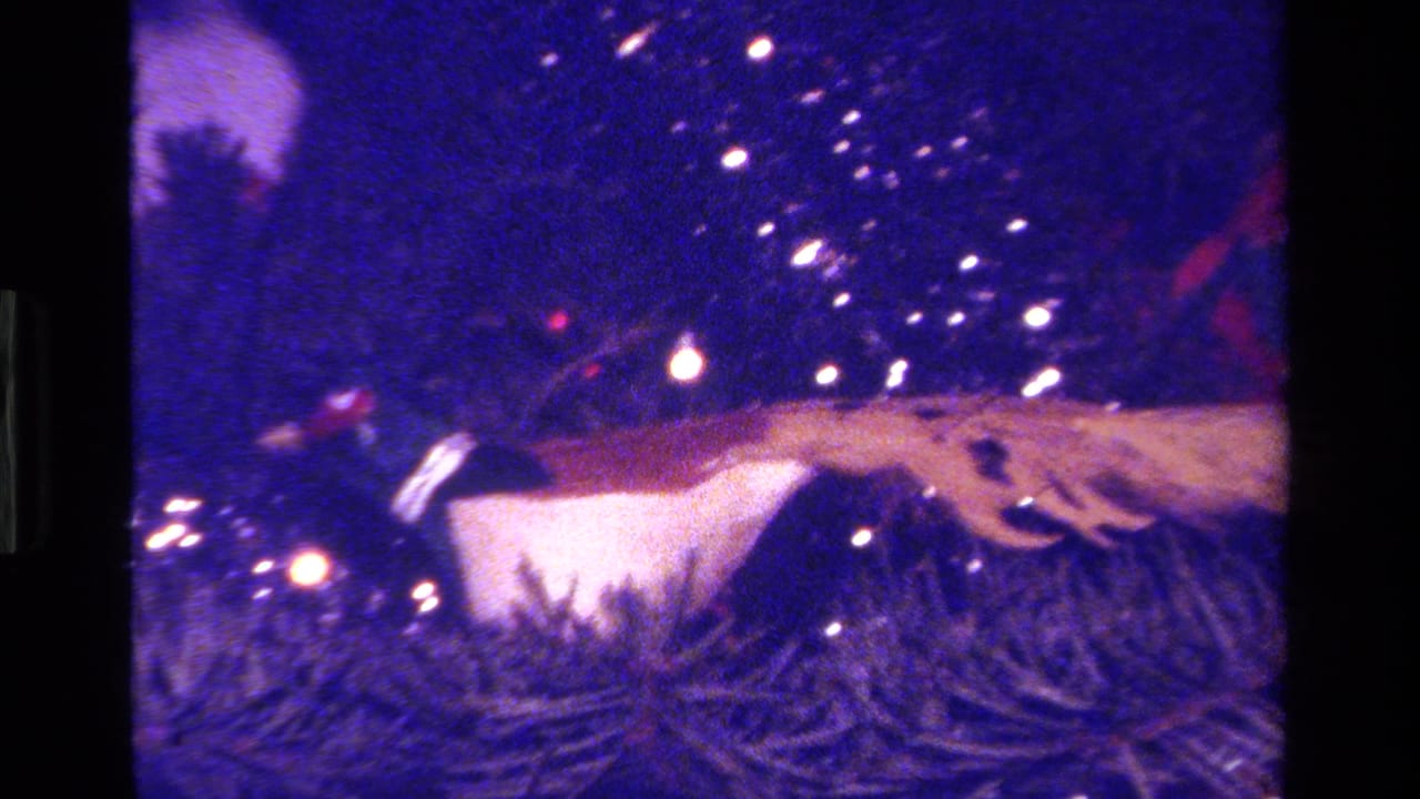 1979 California 8mm frame showing a white dove ornament with a feathered tail on a Christmas tree under purple-blue cast.