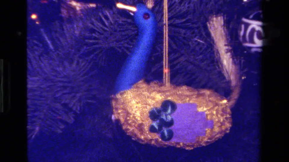 1979 California home-movie frame showing a blue peacock ornament with gold body and purple wing detail on a Christmas tree.