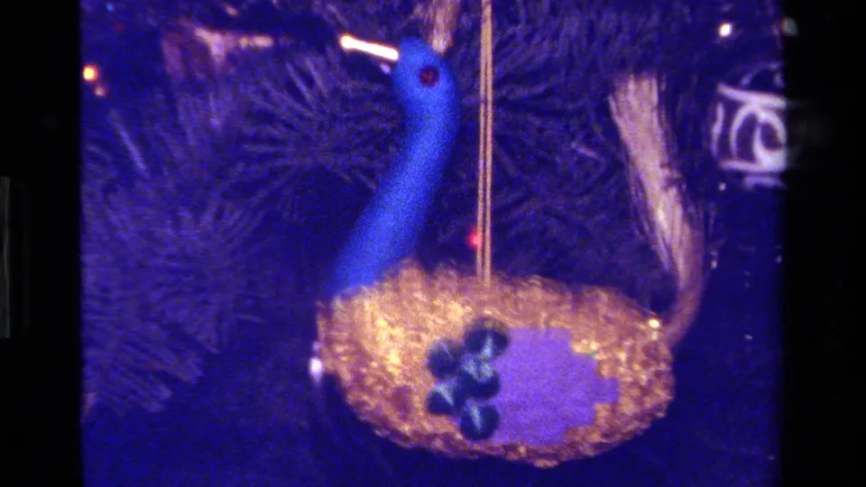 Close 8mm frame of the blue-and-gold peacock Christmas ornament, with pine branches and a dark adjacent ornament partly visible.