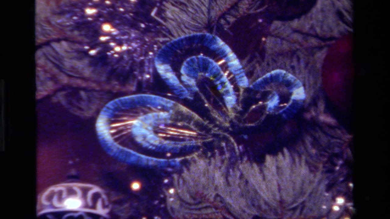 1979 California home-movie frame showing a blue spiral ribbon ornament against tinsel, pine needles, and holiday lights.