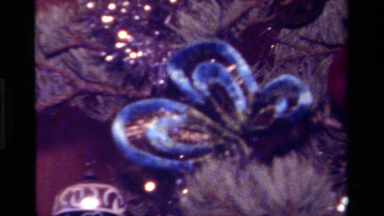 1979 California 8mm frame of a blue ribbon ornament on a Christmas tree, with tinsel, branches, and small holiday lights.