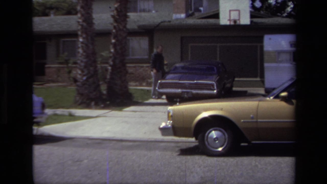 Residential street with parked cars, houses, palm trunks, and a gold car at right.
