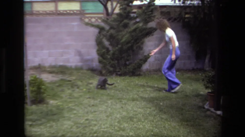 The woman bends slightly and reaches toward a small dark cat in the grassy Laguna Beach backyard.