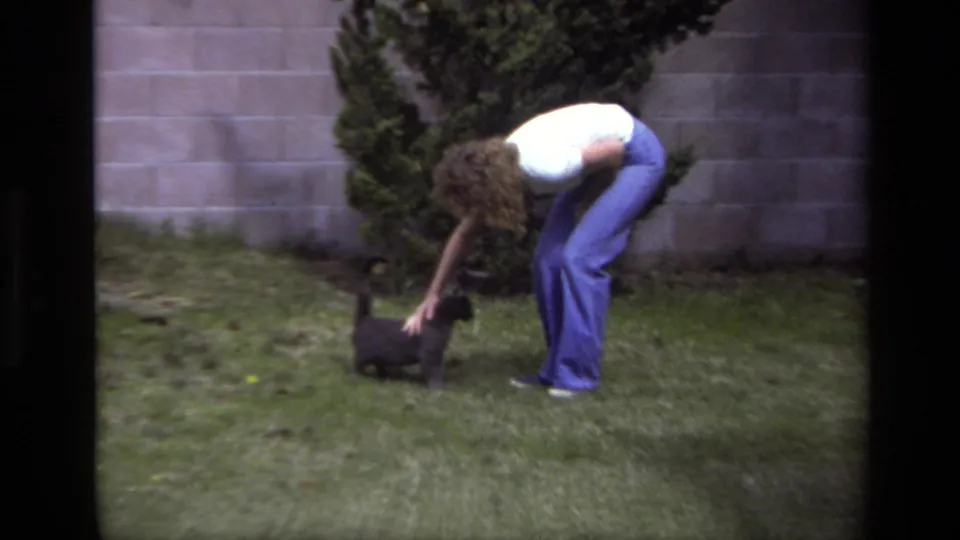 The woman bends at the waist to pet the small dark cat on the lawn, with shrubs and a block wall behind them.