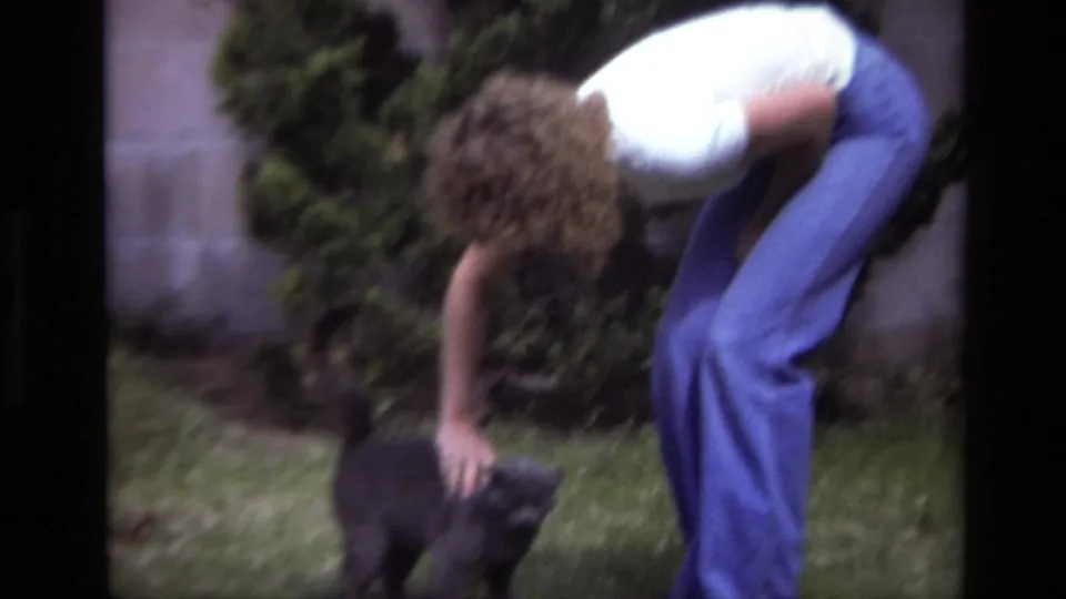 The person remains bent over the gray cat in the grassy yard, with shrubbery and a concrete wall behind them.