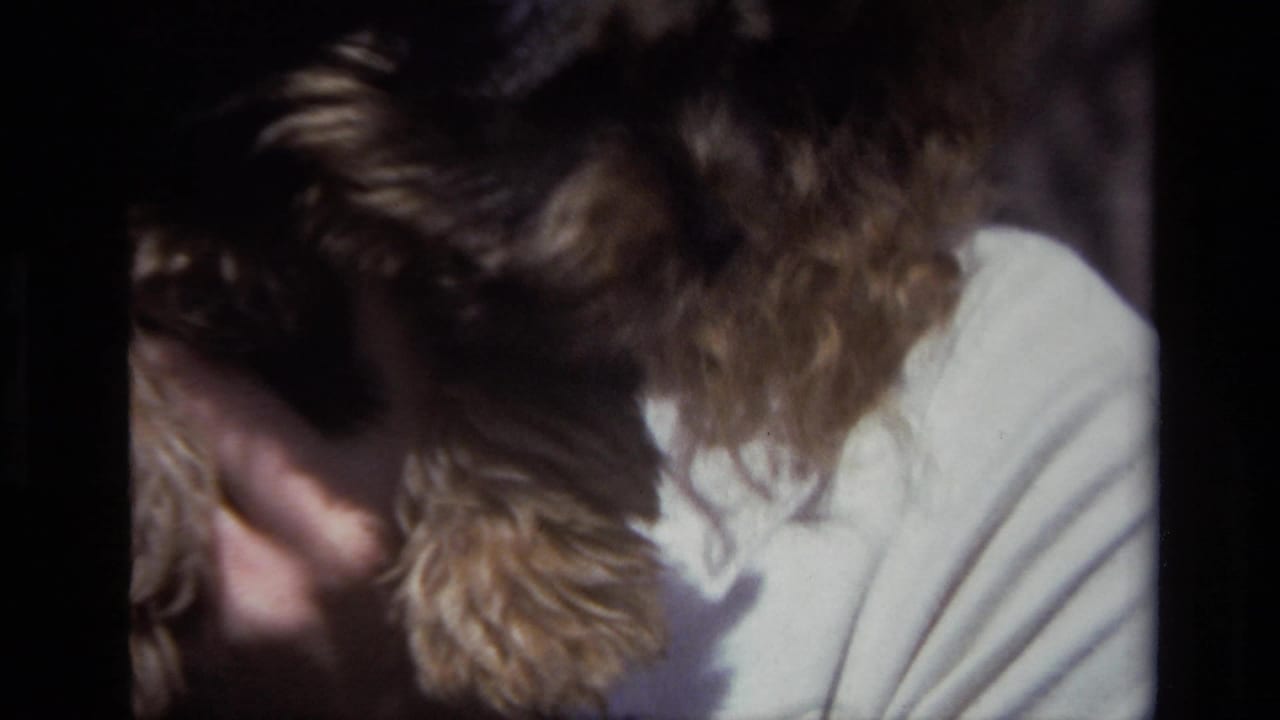 Close view of a small fluffy dog against a person's white top, with the face mostly out of frame.
