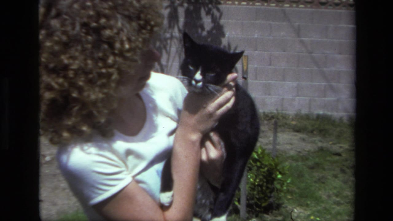 In a Laguna Beach backyard from 1979 footage, a curly-haired woman cradles a black-and-white cat in bright sun near grass and a wall.