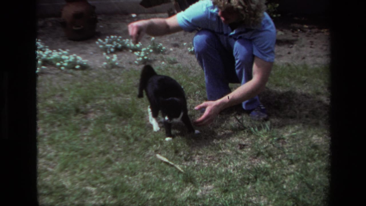 A black and white cat stands on a backyard lawn as a crouching adult in blue reaches toward it in the Laguna Beach 8mm footage.