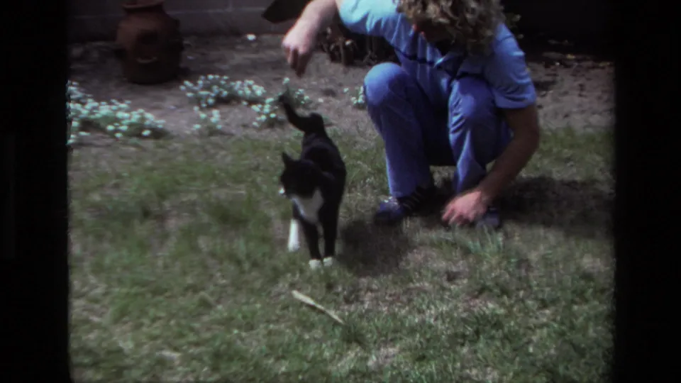 The black and white cat moves across the grass as the crouching adult in blue stays nearby in the 1979 backyard scene.
