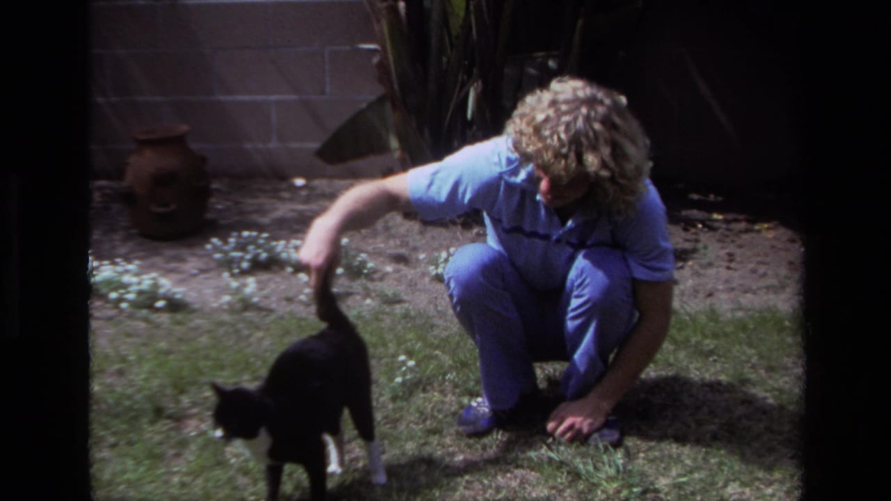 Man reaches toward a black-and-white cat standing on grass in a backyard.