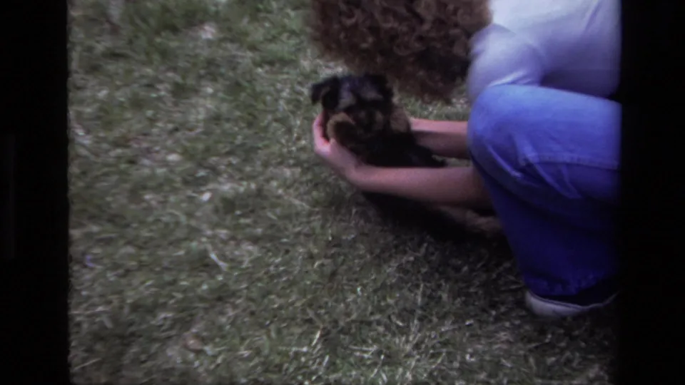 A curly-haired person in blue jeans crouches on a Laguna Beach lawn while gently holding a small terrier-type puppy.