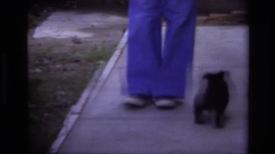 1979 Laguna Beach home-movie frame with a small puppy on the sidewalk near an adult wearing blue pants and dark shoes.