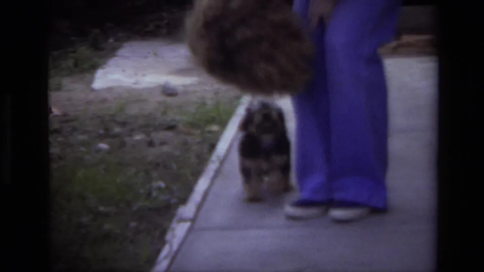 A woman in purple pants bends down toward a small black and brown dog on a sidewalk in 1979 Laguna Beach footage.