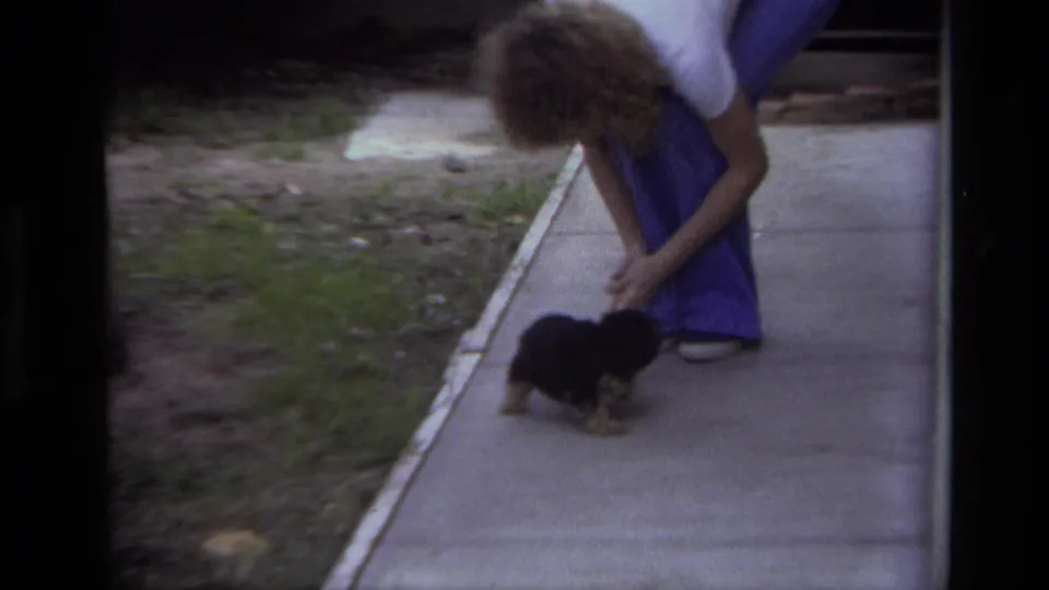 A woman in purple pants bends to pet a small black and brown dog on a concrete sidewalk in Laguna Beach, 1979.