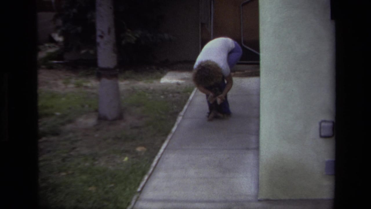 A person bends closely over a small puppy on a concrete walk in the supported 1979 Laguna Beach residential setting.