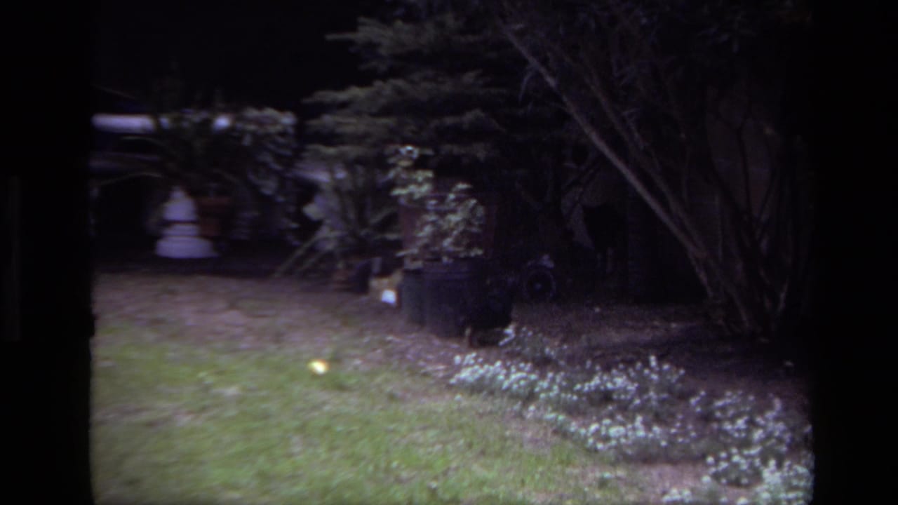 1979 Laguna Beach home-movie frame showing a residential lawn, shrubs, flower beds, and planters in a shaded garden area.