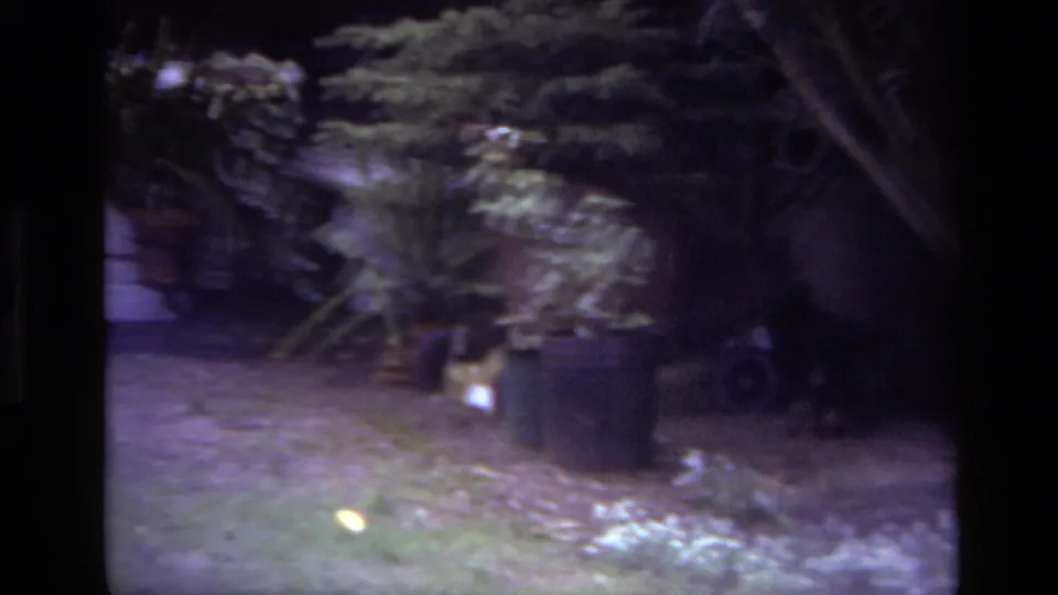 1979 Laguna Beach home-movie frame with lawn, shrubs, planters, and a small dark animal near the garden border.