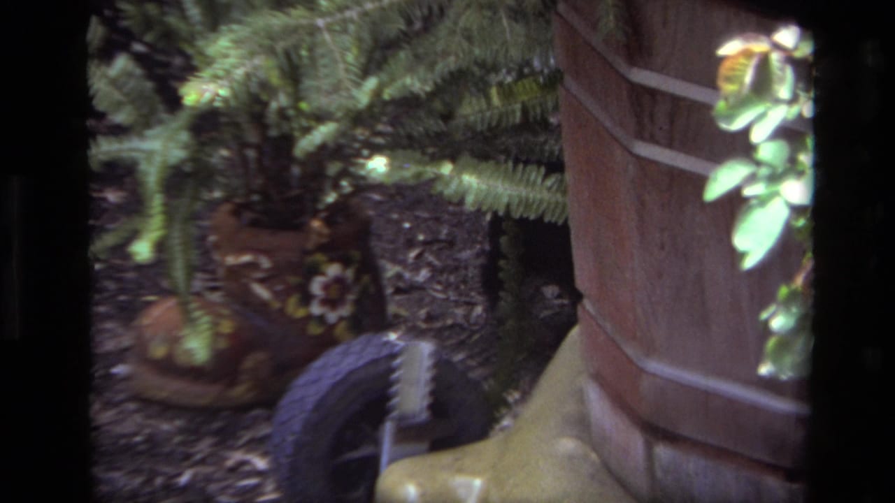 Small puppy near a potted fern and brick planter in a leaf-covered yard.