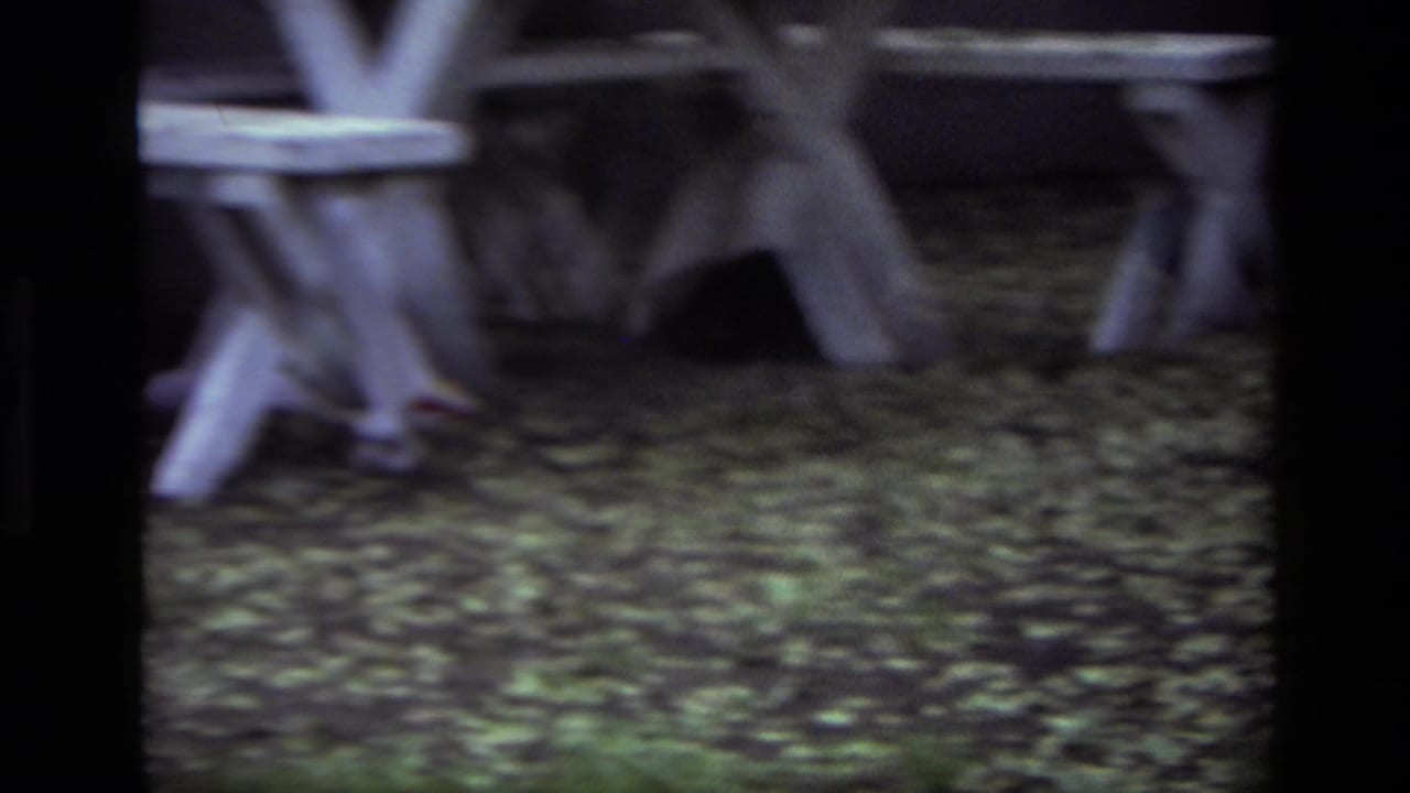Dog partly hidden beneath a white picnic table in a leaf-covered yard.