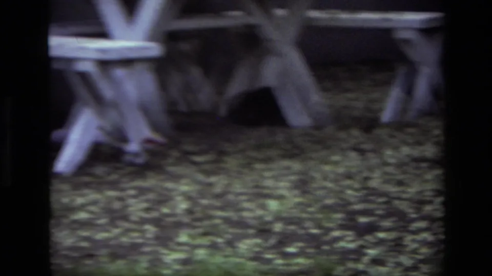 A dog moves under the worn white picnic table while another dark shape appears nearby in the 1979 Laguna Beach yard scene.