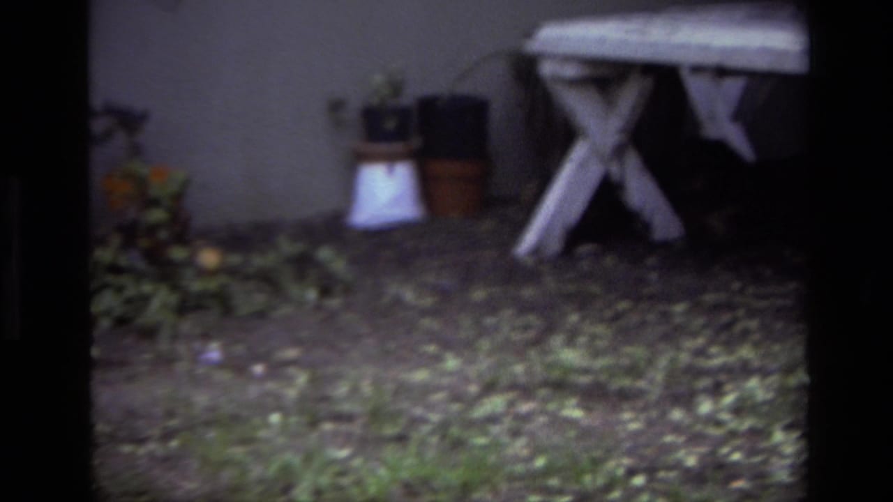 1979 Laguna Beach home-movie frame showing black puppies near a white picnic table, garden pots, grass, and fallen leaves.