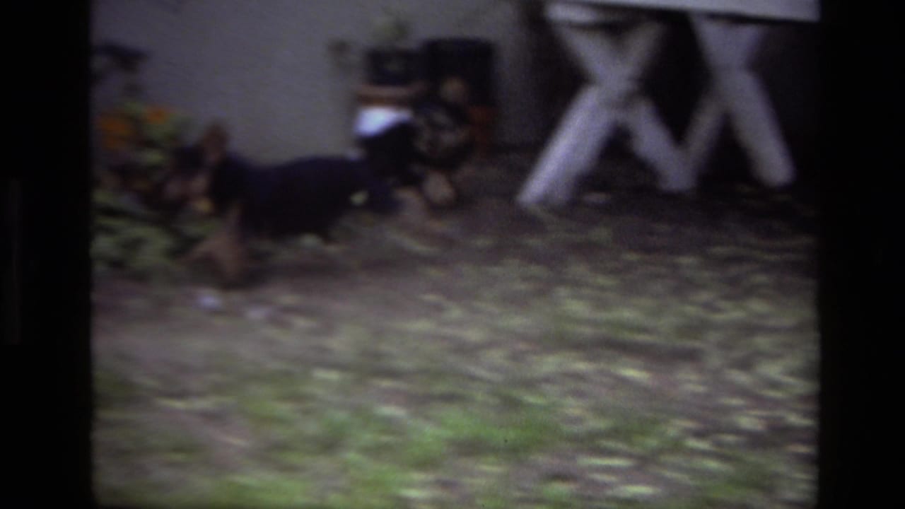 1979 Laguna Beach backyard footage frame with black puppies running across grass and leaves near a white picnic table.