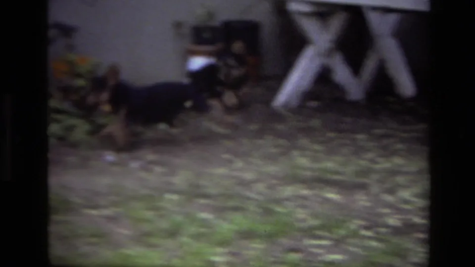 1979 Laguna Beach backyard footage frame with black puppies running across grass and leaves near a white picnic table.