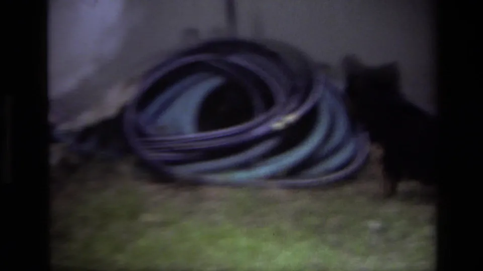 1979 Laguna Beach home-movie frame showing a coiled garden hose on the lawn with a black puppy partly visible nearby.