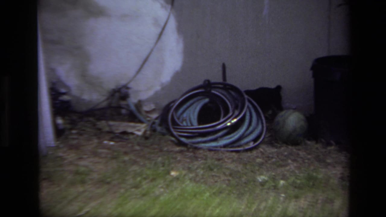 Coiled garden hose rests against a stucco wall with a dark bucket and small round object nearby.