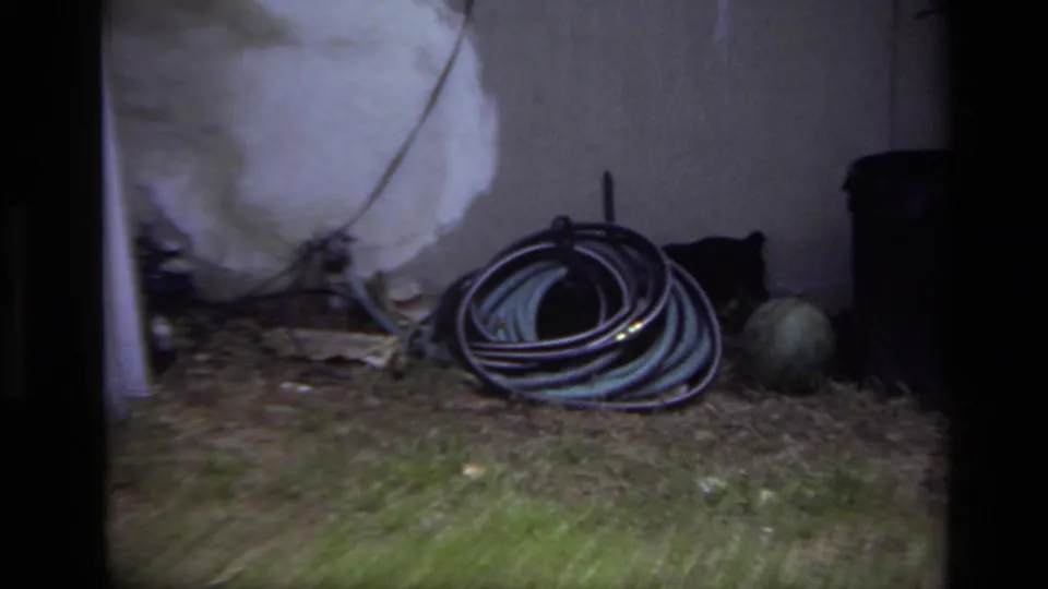 Backyard garden detail in Laguna Beach, 1979, showing a coiled hose, stucco wall, bucket, grass, and yard debris.