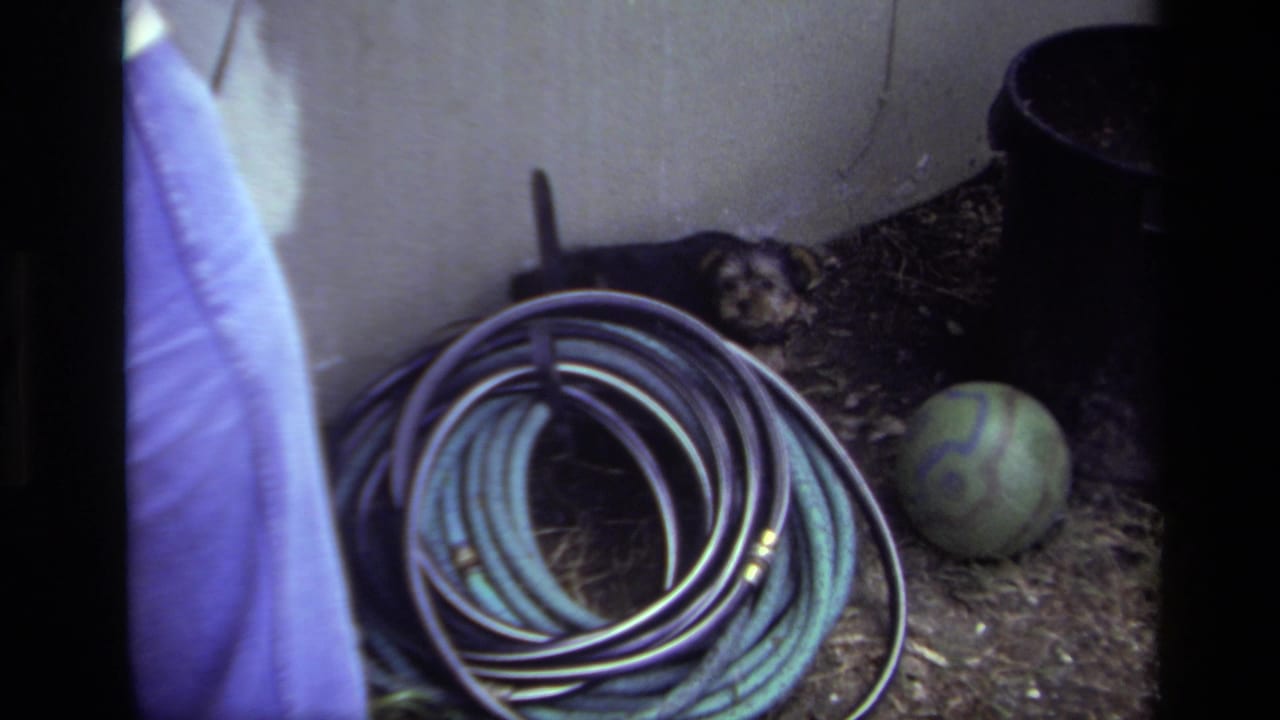 1979 Laguna Beach home-movie frame with a coiled hose, patterned ball, dark planter, and small puppy near an exterior wall.
