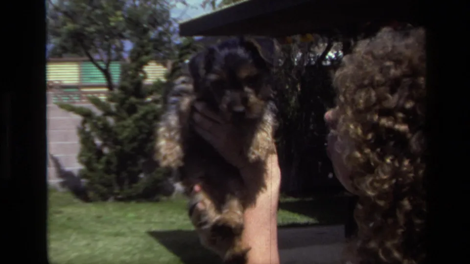 A person with curly hair holds a small wiry puppy in a sunny Laguna Beach backyard, with lawn and shrubs behind them.