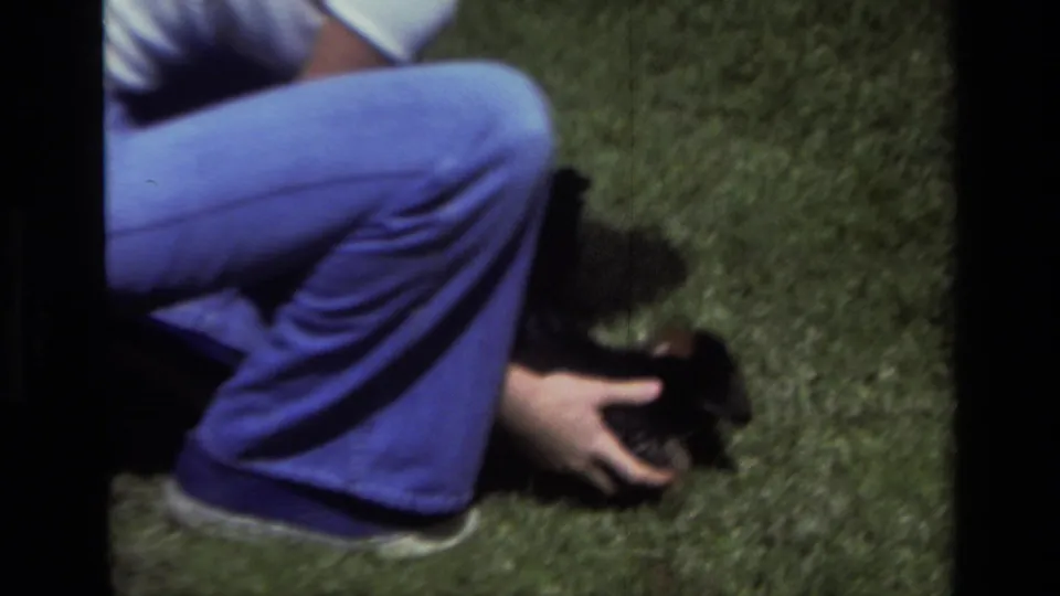 1979 Laguna Beach 8mm frame showing a crouching person in blue jeans reaching toward a small puppy on grass.