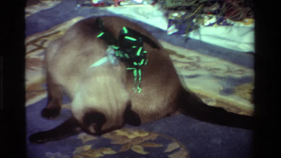 A Siamese cat with a green bow lies on a patterned rug below a decorated Christmas tree in 1981 home-movie footage.