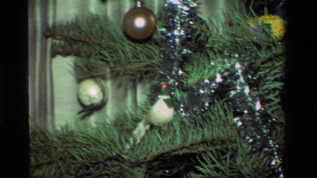 Close 8mm view of a decorated Christmas tree in California, with tinsel and pale round ornaments among green needles.