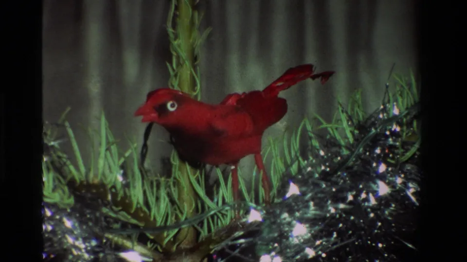 Close 1981 California home-movie view of a red bird ornament on a small Christmas tree with tinsel.