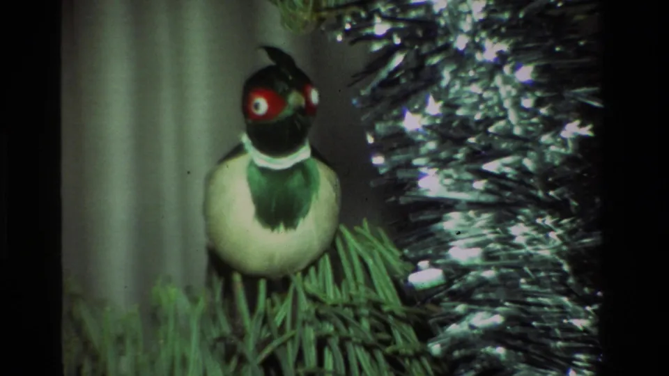 1981 California home-movie close-up of a bird figurine ornament with red eyes and green-white plumage beside silver tinsel.
