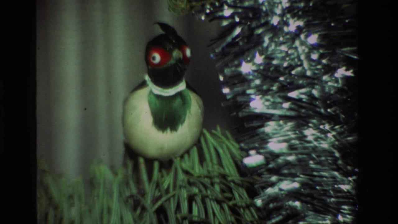 Close 1981 California 8mm view of a bird ornament with red eyes and green neck hanging on a Christmas tree beside silver tinsel.